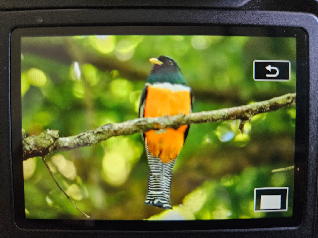 Woodpecker Educational Tours-Canas必去景点