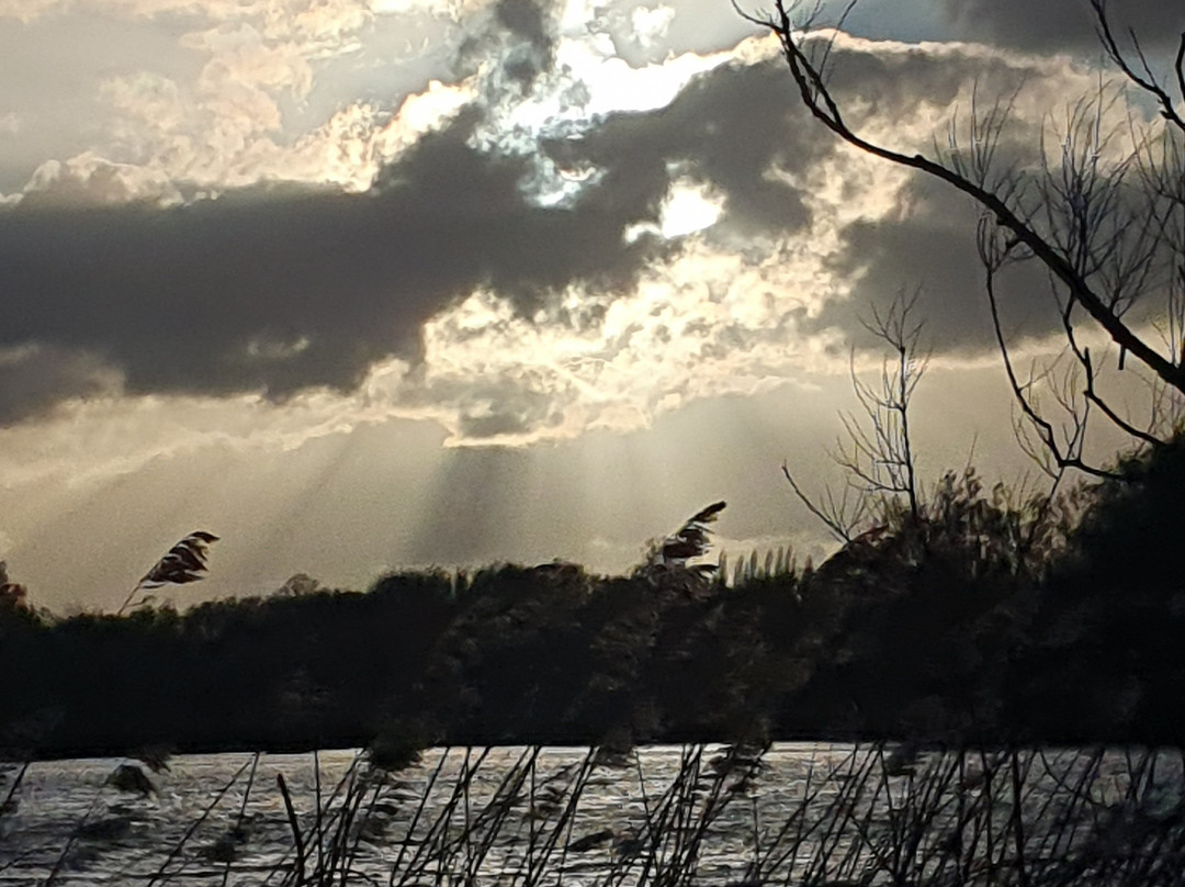 Little Marlow Lakes Country Park-Little Marlow必去景点
