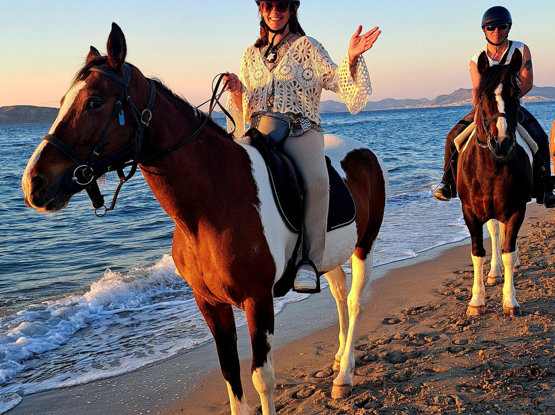 Erika's Horse Farm Kos-Marmari必去景点