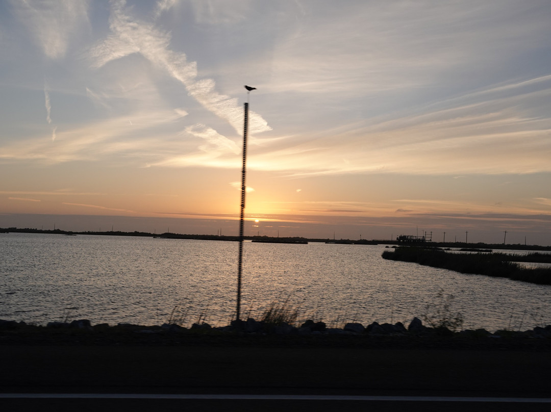 Sabine National Wildlife Refuge-Hackberry必去景点