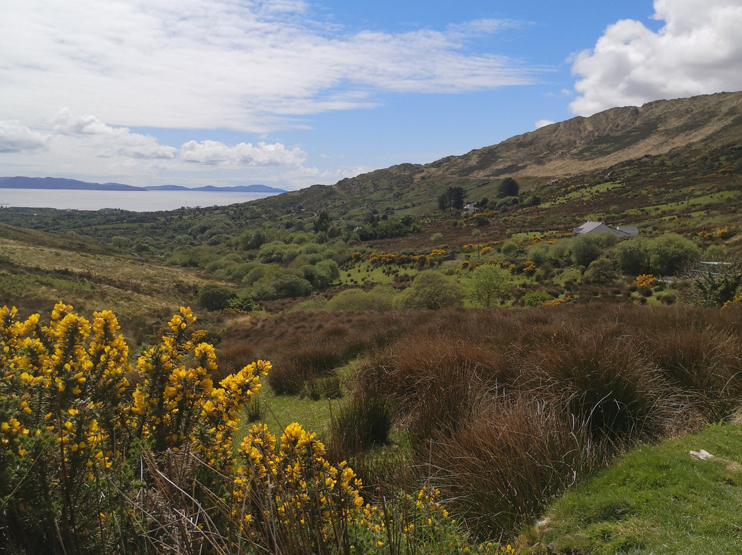 Kerry Experience Tours-Sneem必去景点