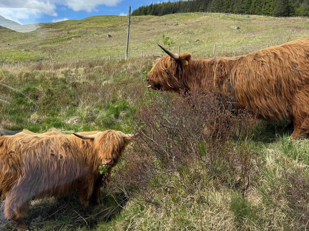 4x4 Adventures Scotland-拉斯必去景点