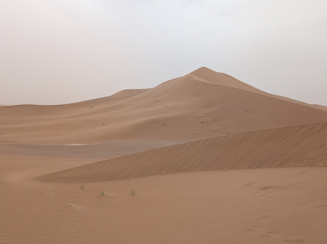 Desert Maroc Tours - Day Tours-扎古拉必去景点