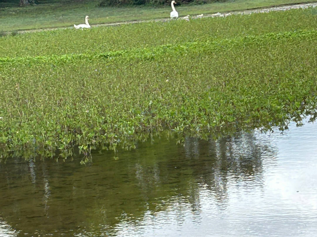 Hatchet Pond-Beaulieu必去景点