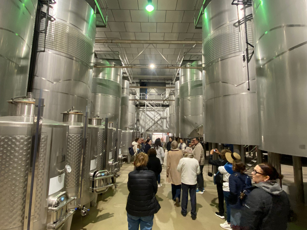 Bodegas Y Vinedos PradoRey-Gumiel Del Mercado必去景点