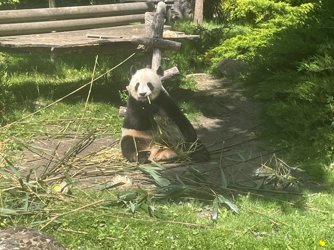 ZooParc de Beauval-圣艾尼昂必去景点