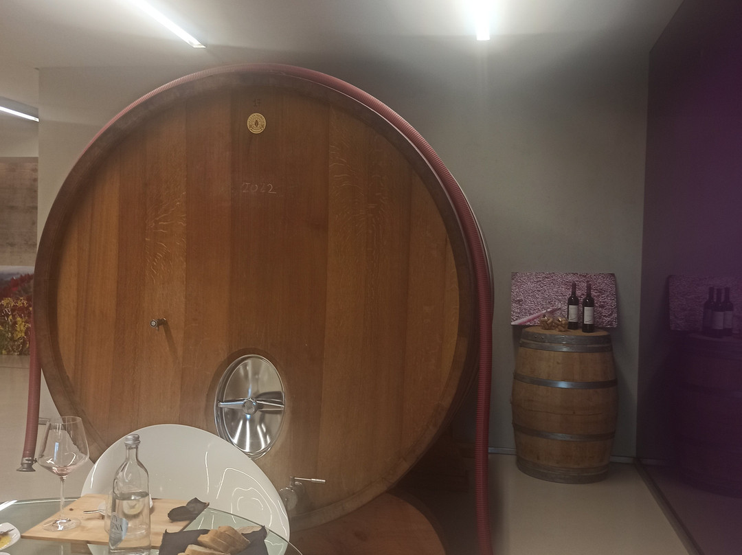 Capua Winery-Saturnia必去景点