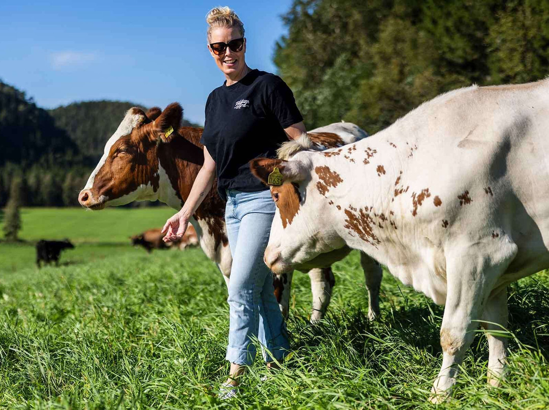 Toddum Gårdsysteri Og Gårdsbutikk-Namsos必去景点