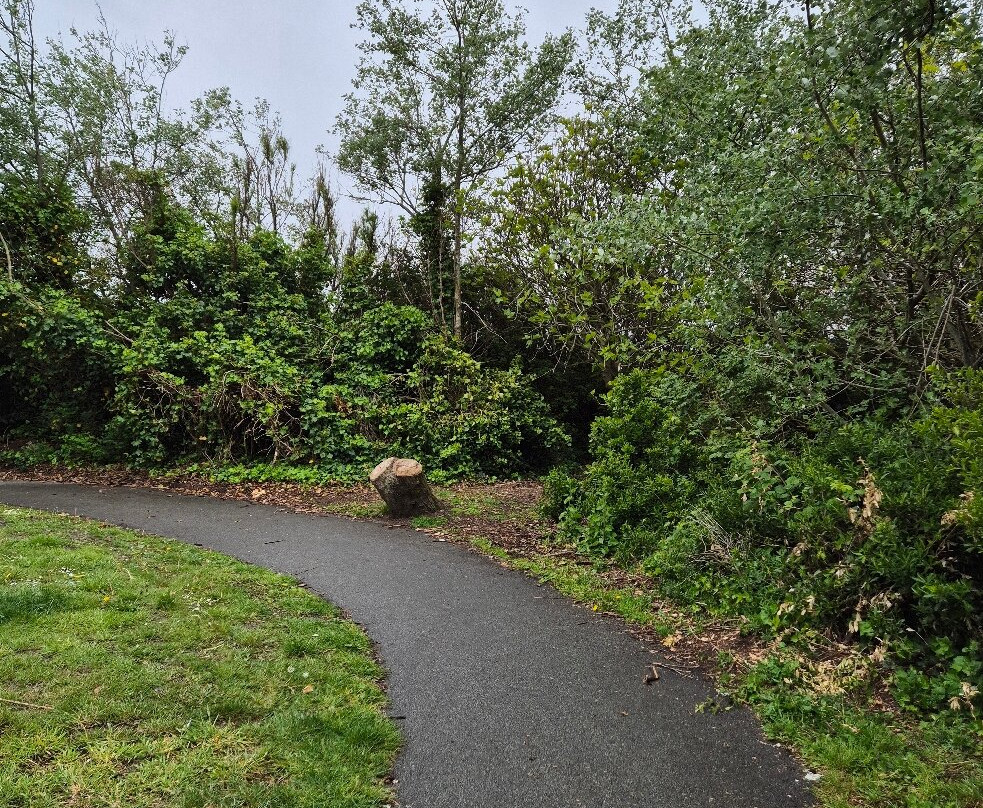 Waterloo Parks-克罗斯比必去景点