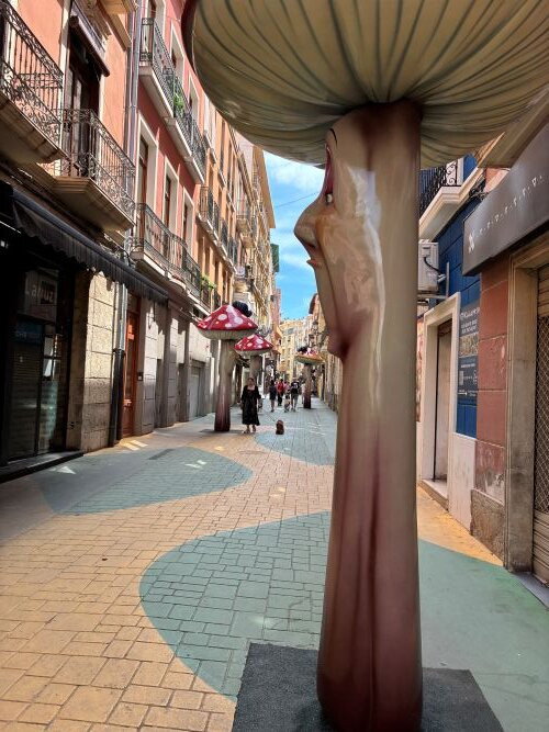 Calle de Las Setas-阿利坎特省必去景点