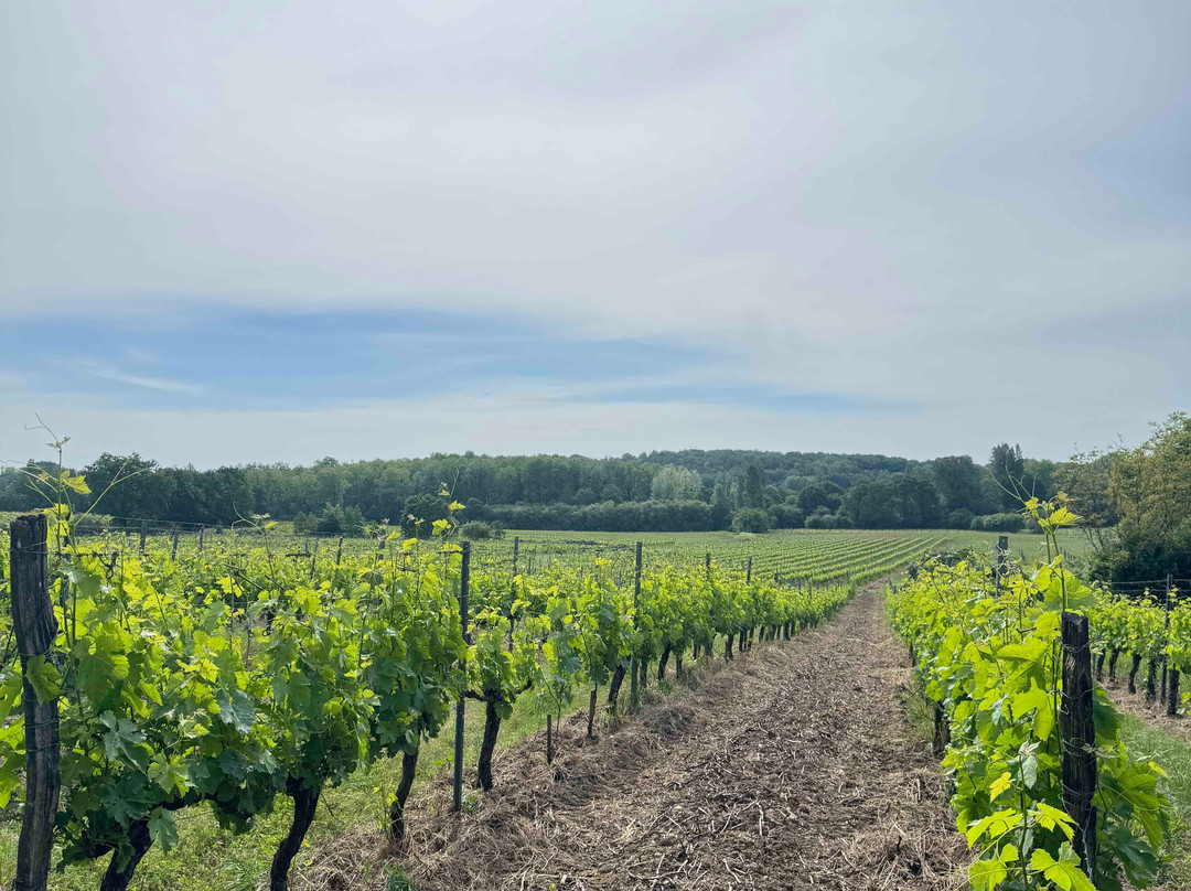 Château le Noble-Saint-Germain-Du-Puch必去景点