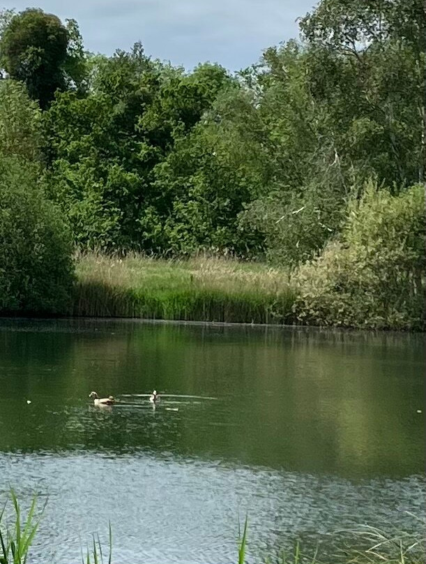 Fullers Mill Garden-West Stow必去景点