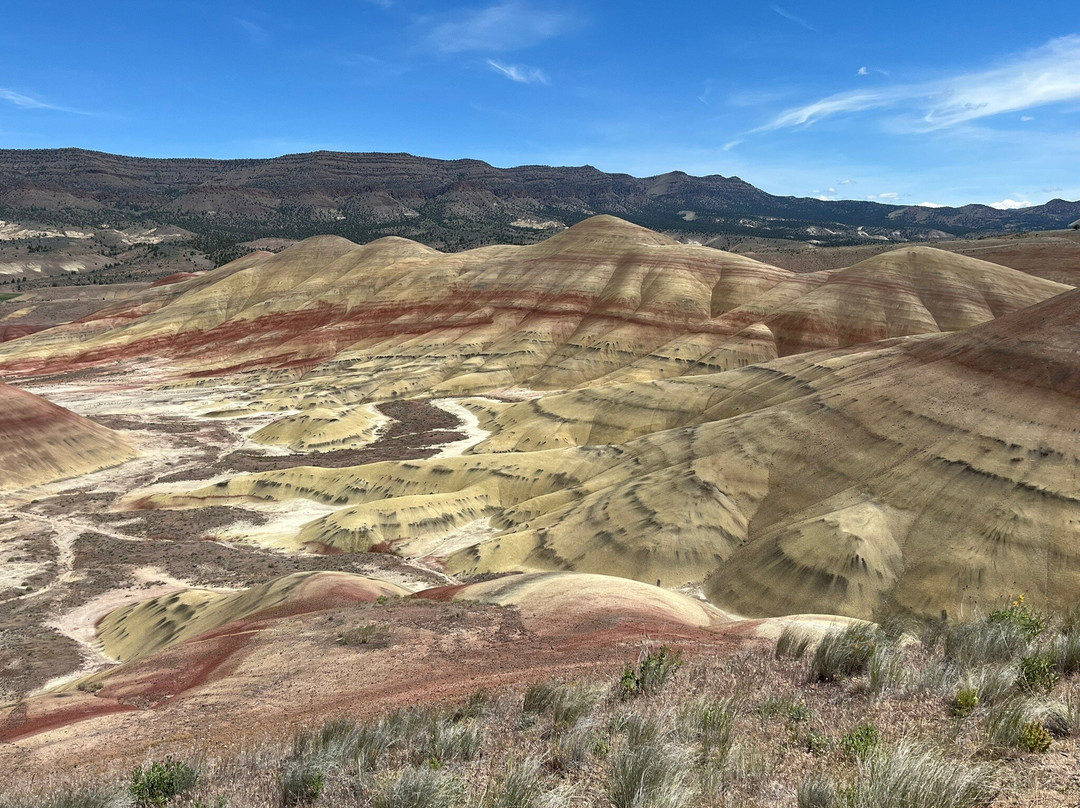 John Day Fossil Beds National Monument-John Day必去景点