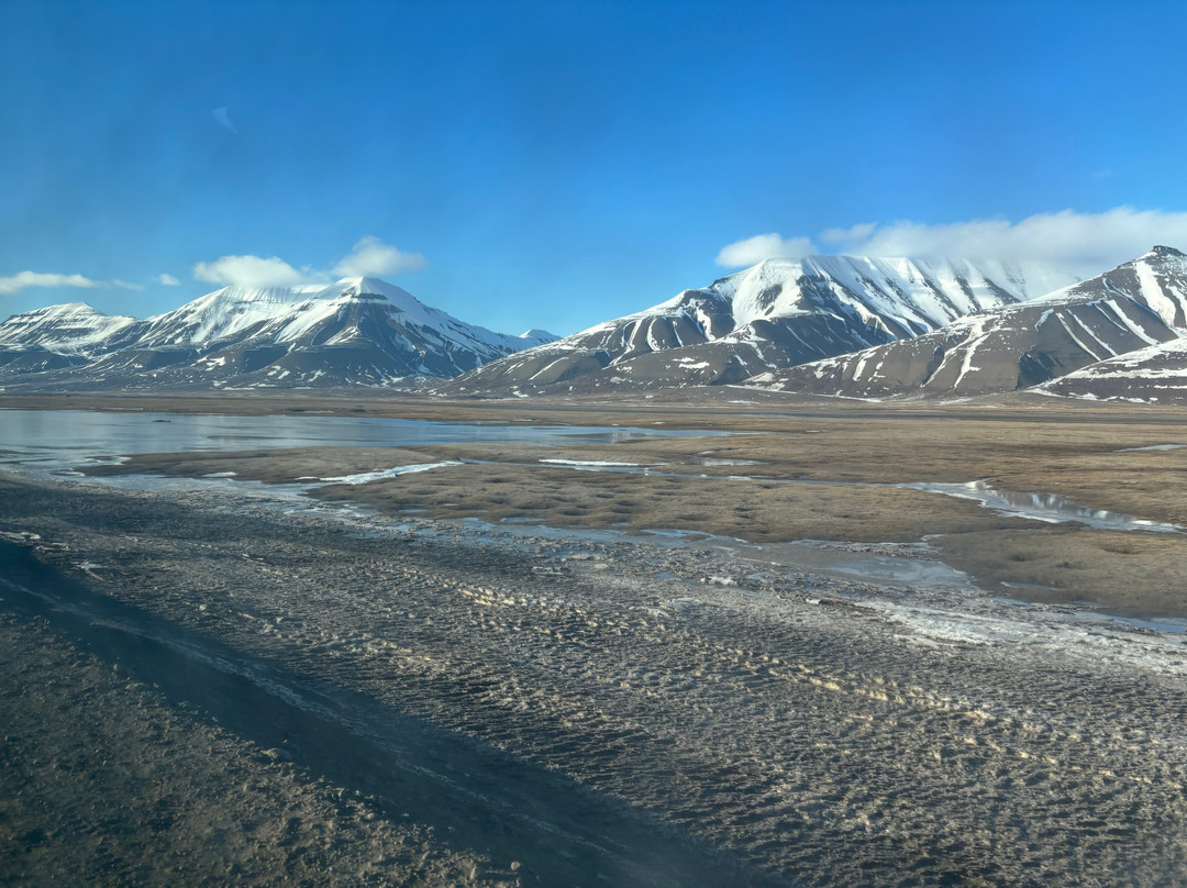 Svalbard Experts-朗伊尔城必去景点