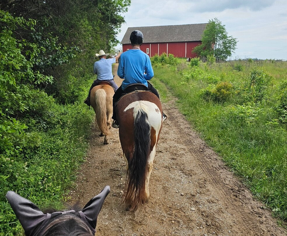 Hickory Hollow Horse Farm-葛底斯堡必去景点