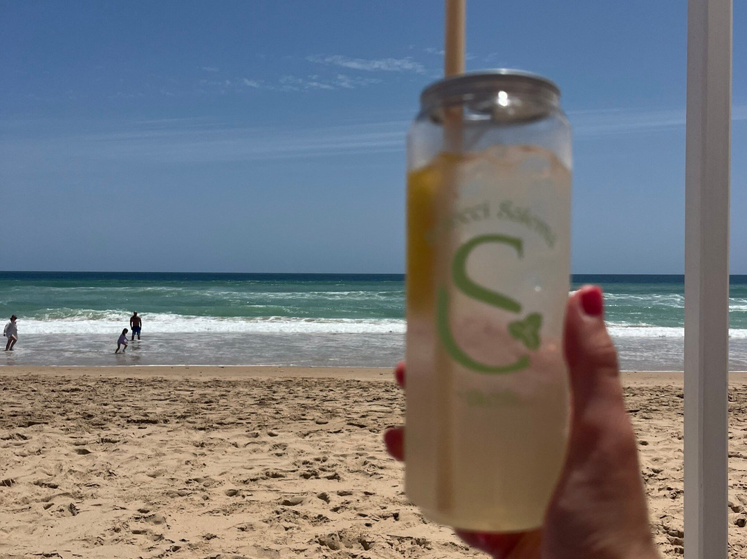 Solecci Salema