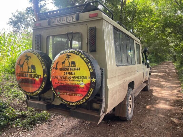 African Delight Safari-莫西必去景点