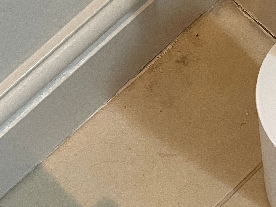 东臂酒店主图