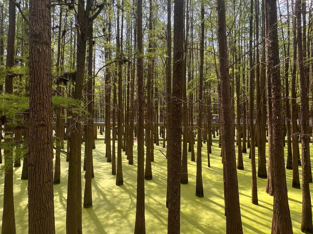 青山湖-临安市必去景点