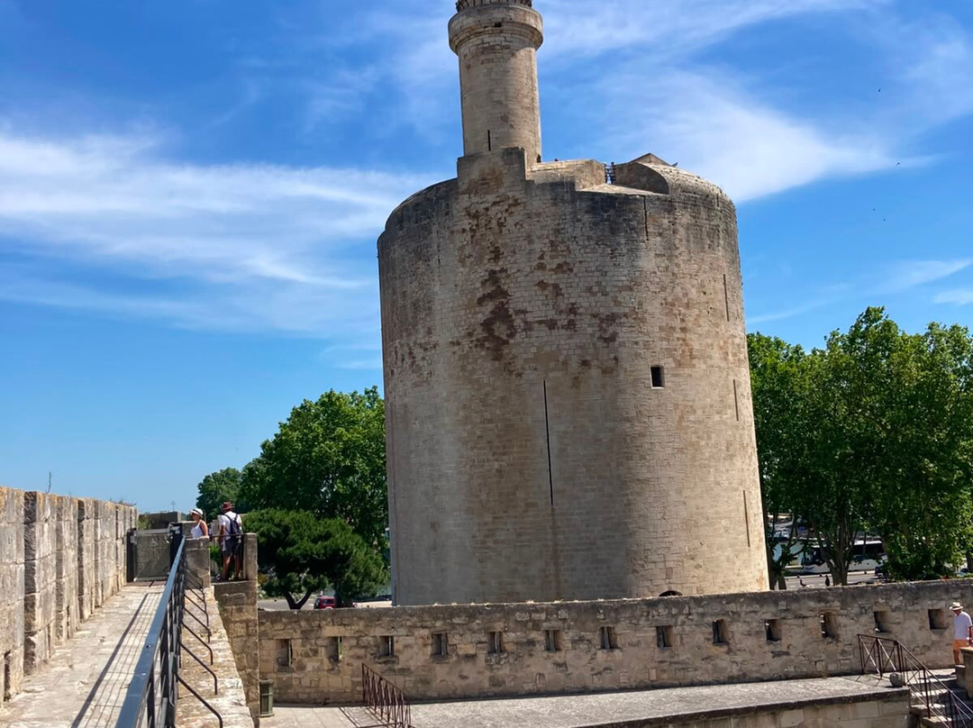 Towers and Ramparts of Aigues-Mortes-艾格莫尔特必去景点