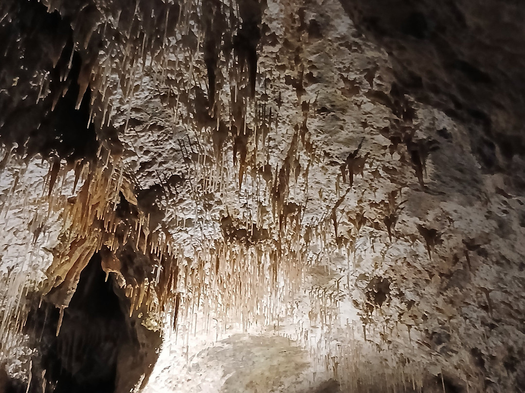 Crag Cave-Castleisland必去景点