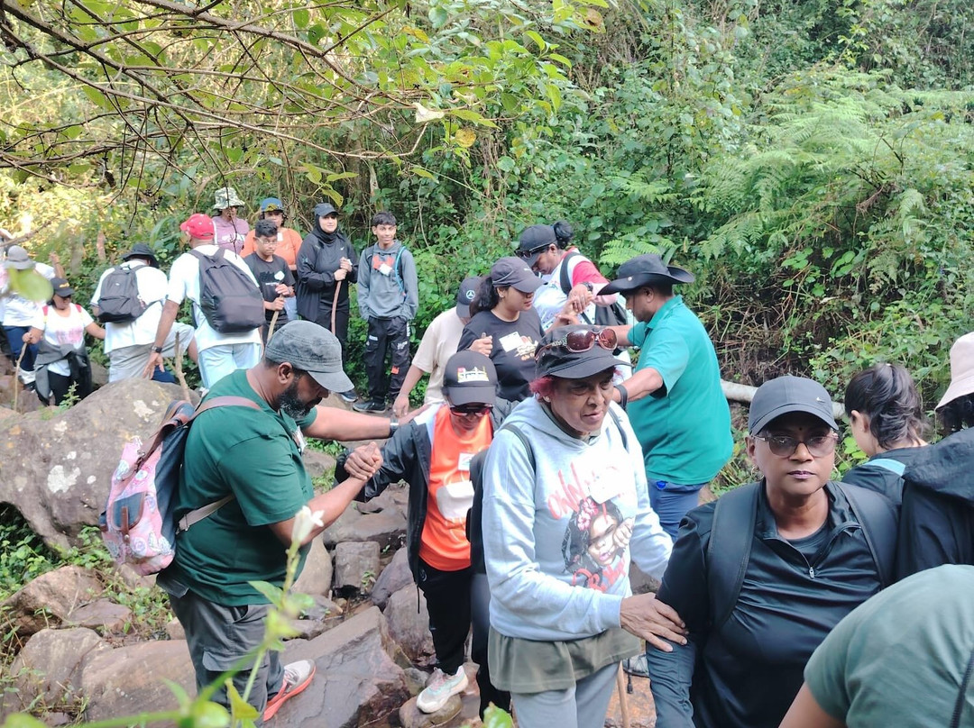 Giba Gorge Mountain Bike Park-派恩敦必去景点