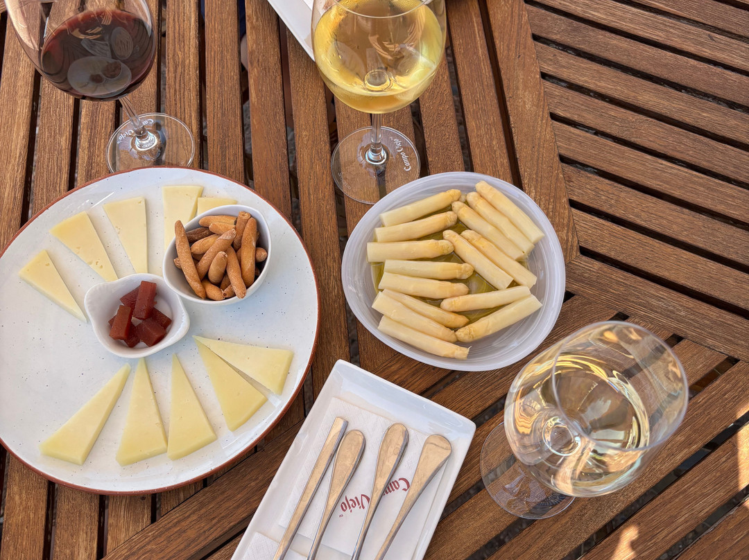 Bodegas Campo Viejo-洛格罗尼奥必去景点