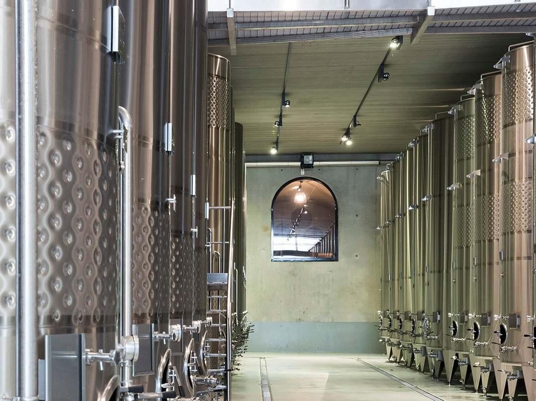 Château Saint-Maur Cru Classé-Cogolin必去景点