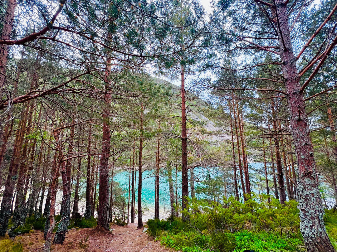 An Lochan Uaine-阿维莫尔必去景点