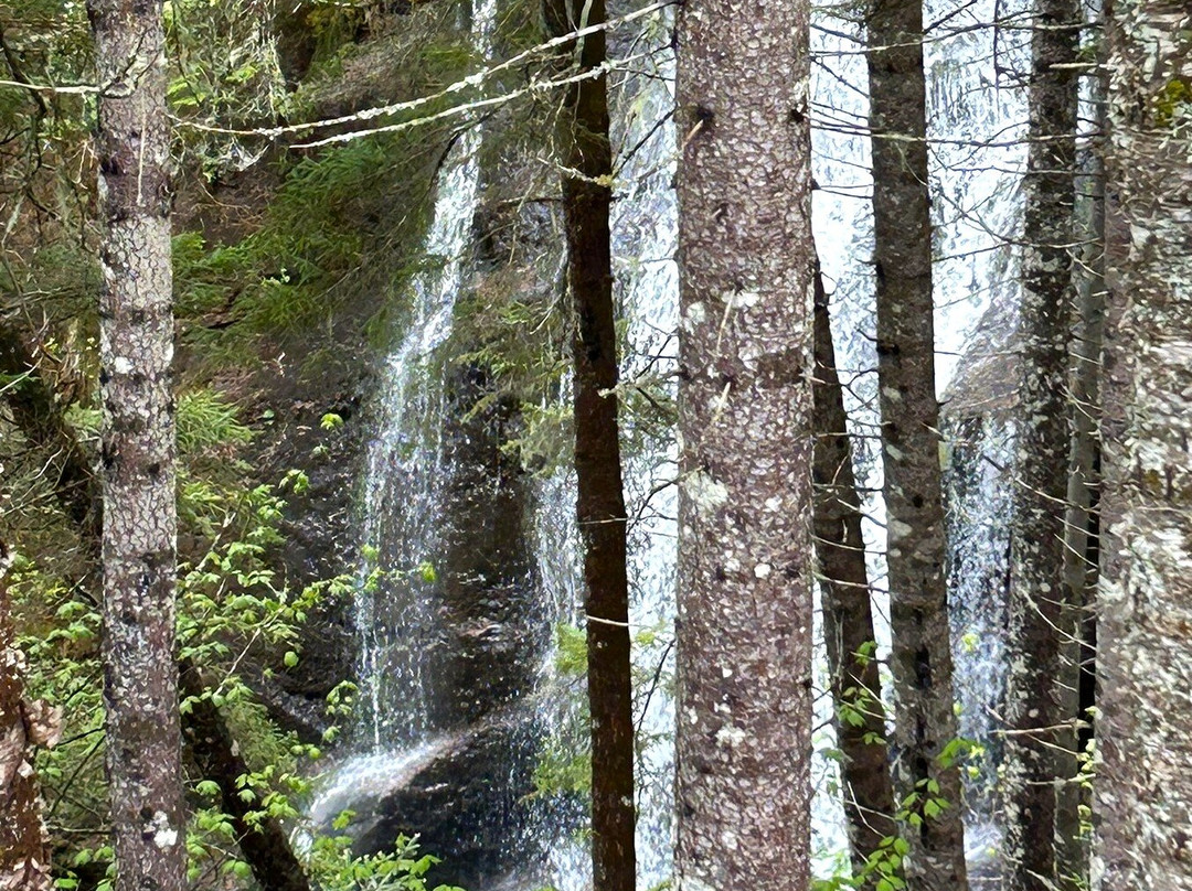Fundy National Park-阿尔马必去景点