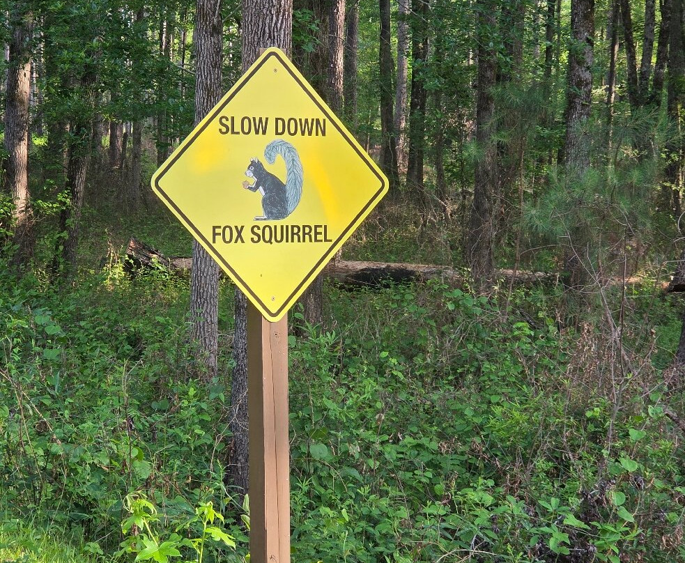 Congaree National Park-Hopkins必去景点
