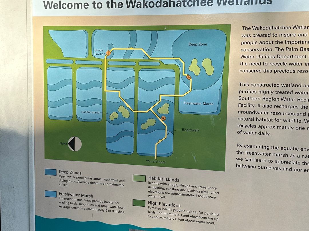 Wakodahatchee Wetlands-德拉海滩必去景点