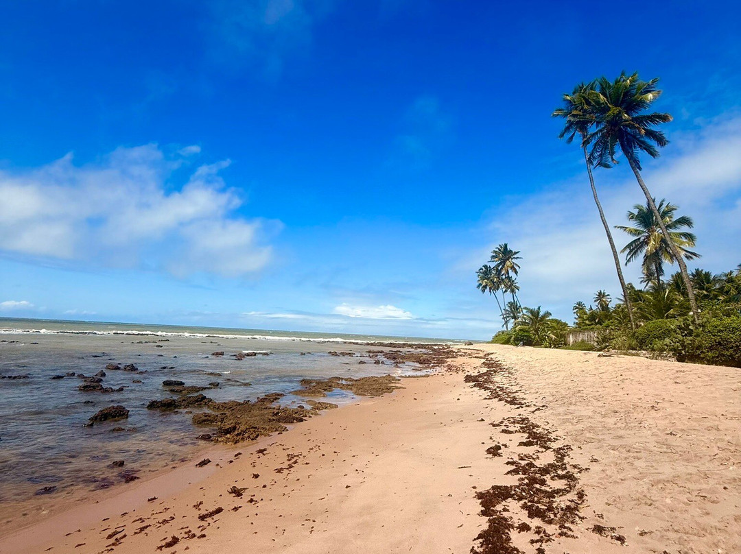 Carapibus Beach-Conde必去景点