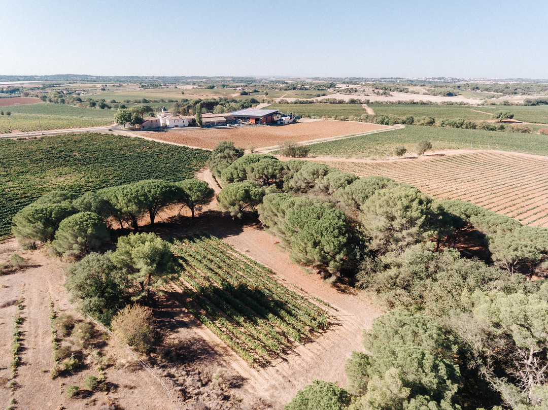 Domaine la Baume-Servian必去景点