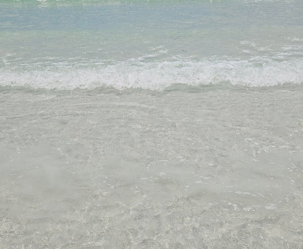 Lido Beach-Lido Key必去景点