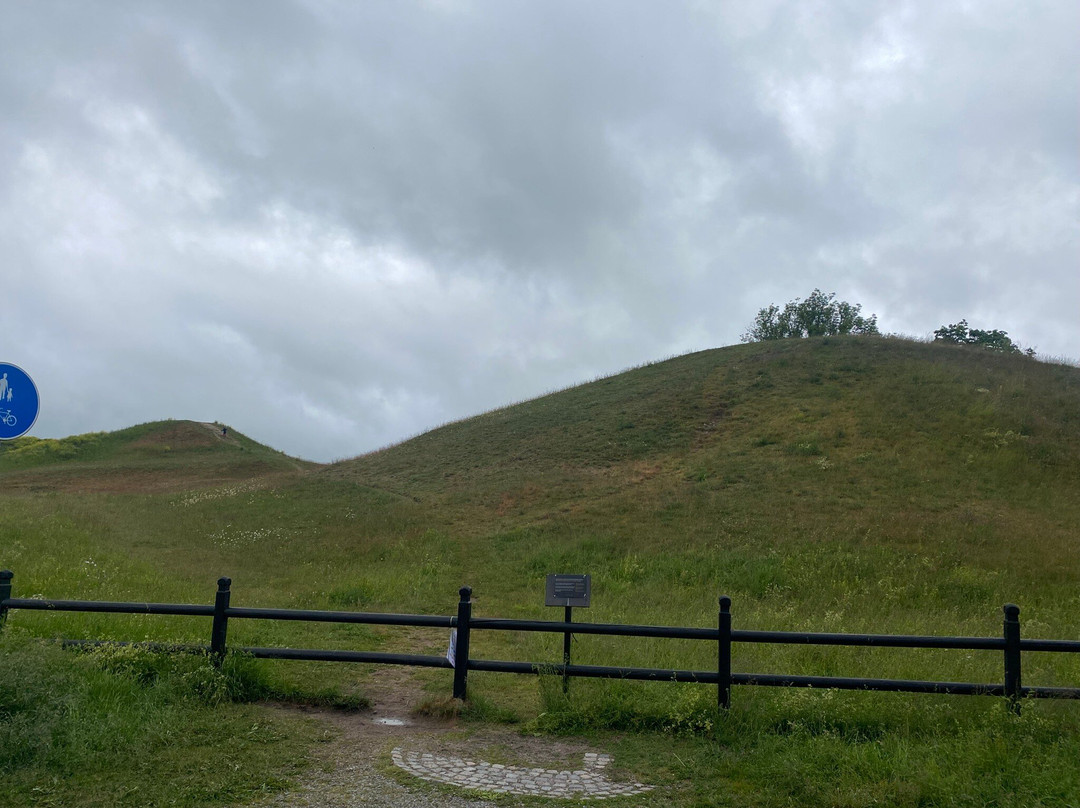 Royal Mounds-Gamla Uppsala必去景点