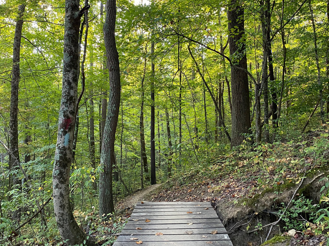 East Fork State Park-Bethel必去景点