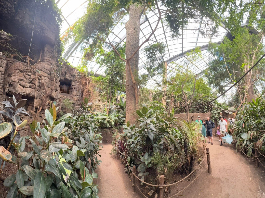 奥马哈亨利多立动物园-奥马哈必去景点