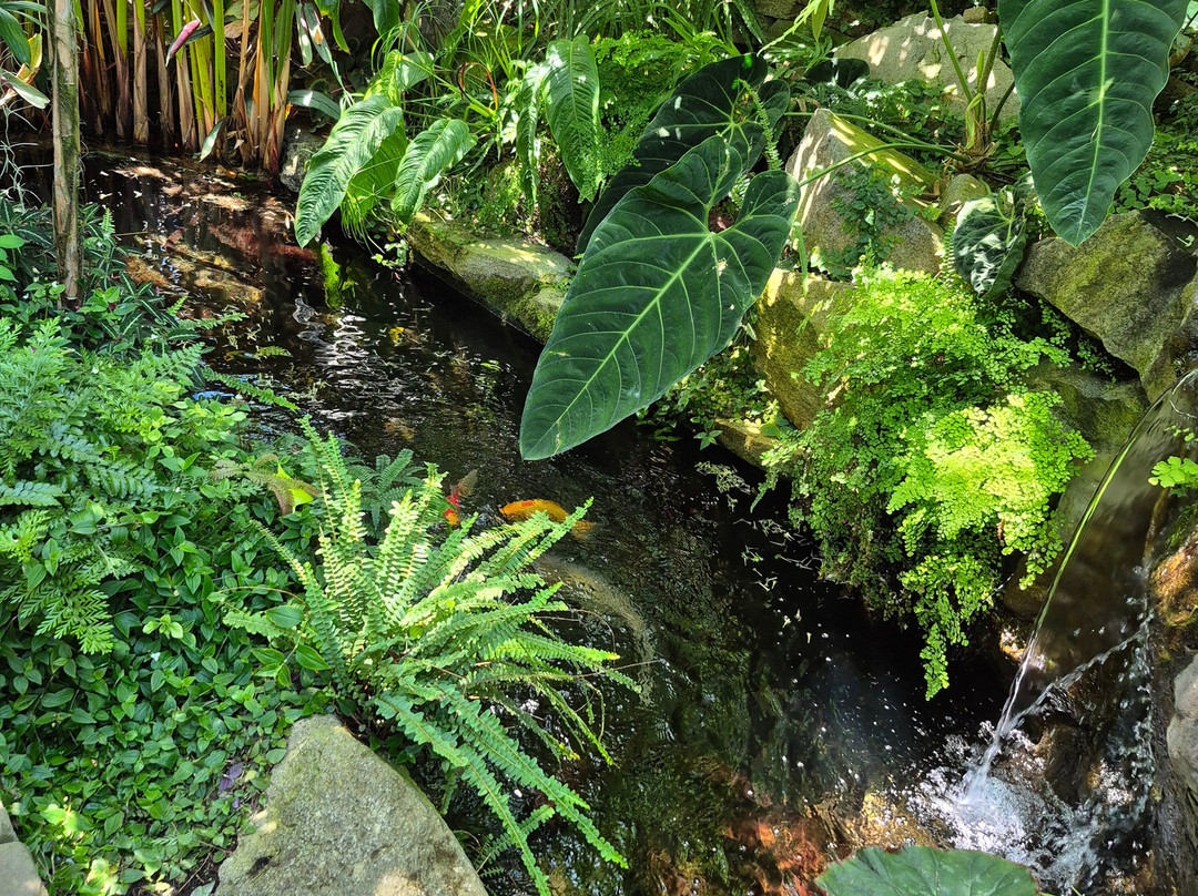 W.W. Seymour Botanical Conservatory-塔科马必去景点
