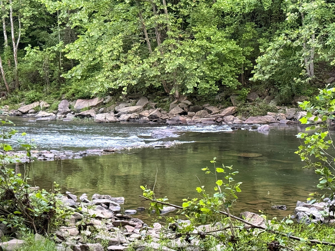Seneca State Forest-Marlinton必去景点