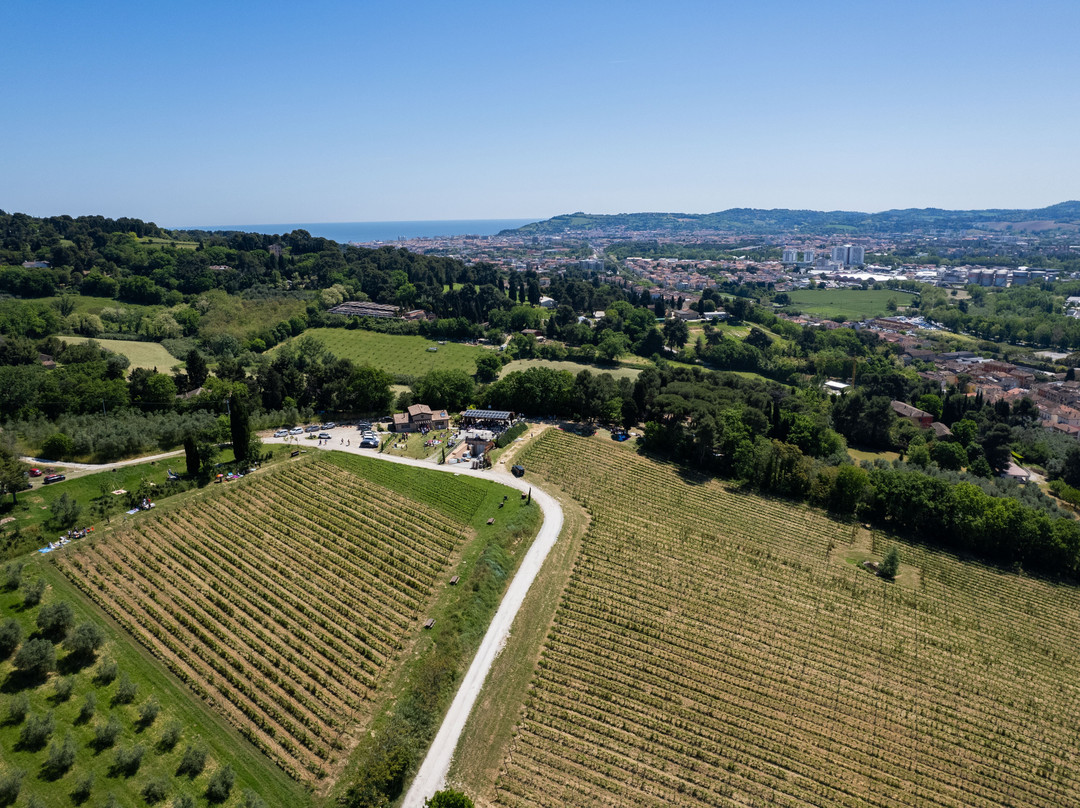 Azienda Agricola De Leyva-佩萨罗必去景点
