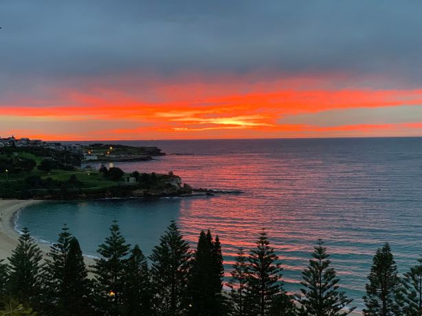 悉尼Coogee海滩洲际酒店-旅行者