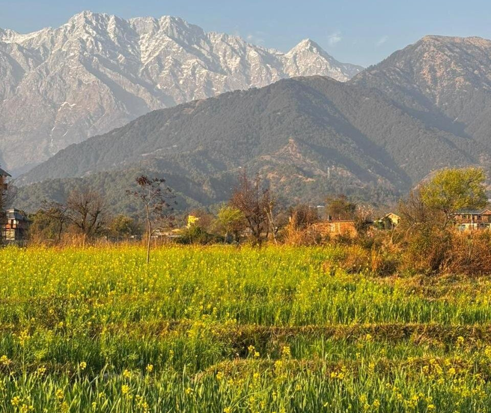 Kahani Cottages Palampur