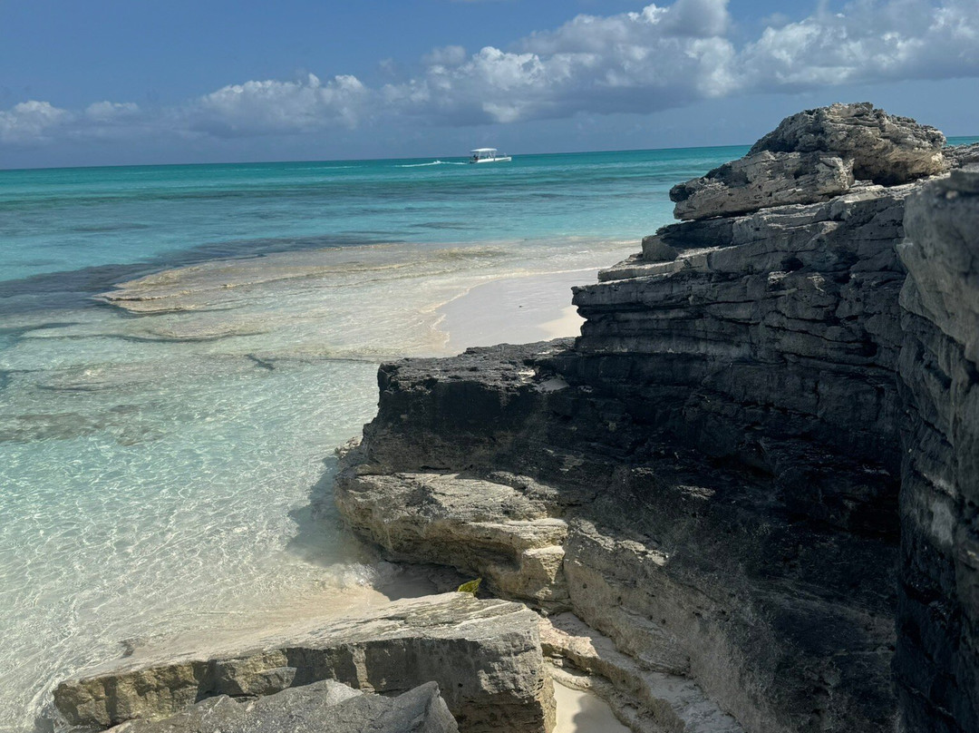 Paradise Luxury Charters-Turtle Cove必去景点