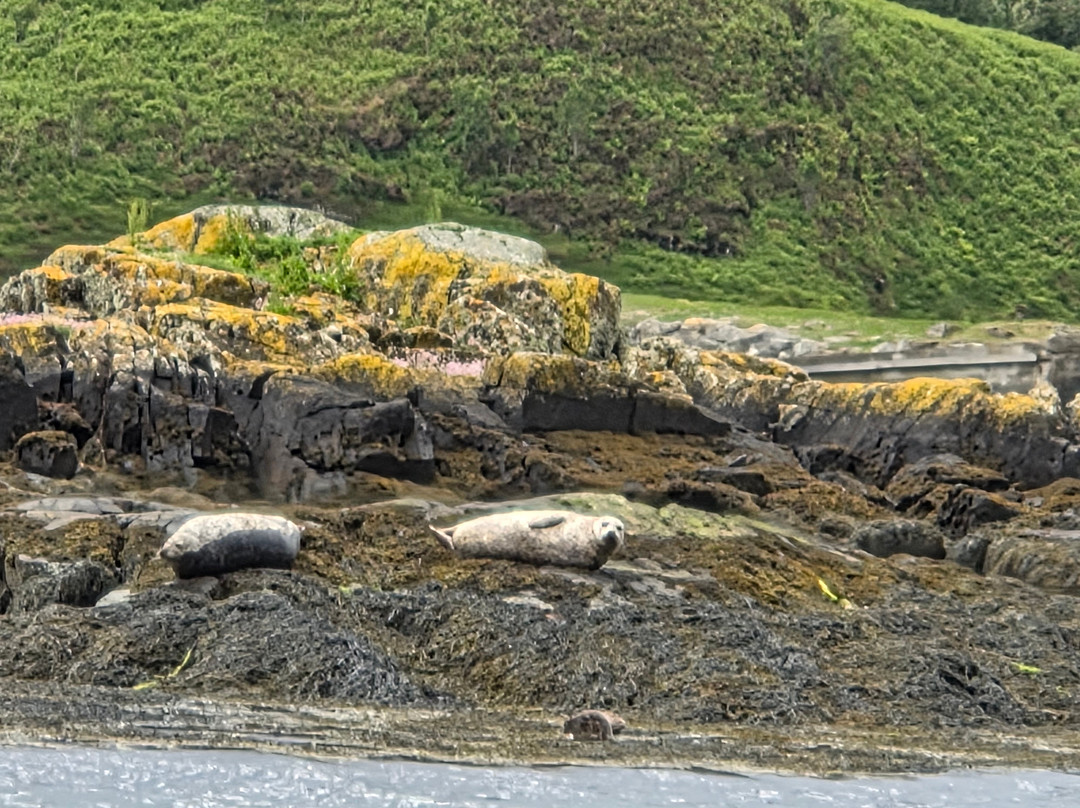 Kylesku Boat Tours-Kylesku必去景点
