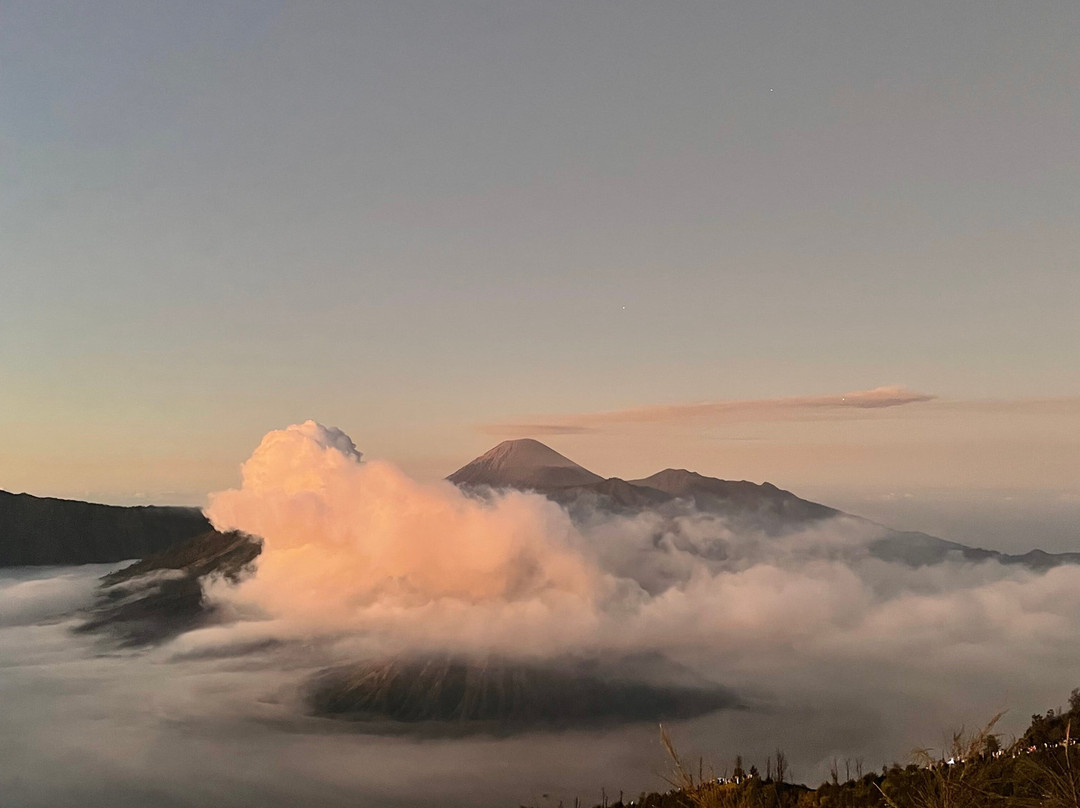Ijen Blueflame Tour - Day Tours-巴纽旺宣必去景点