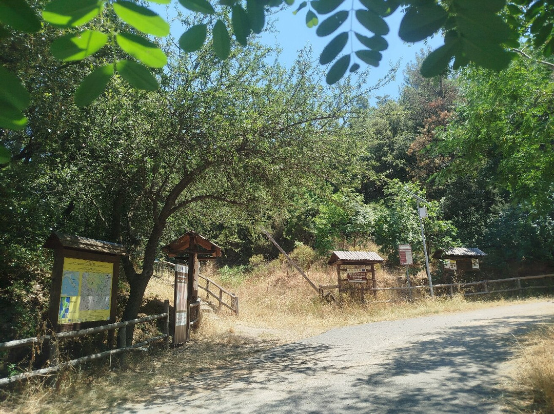 Riserva Naturale Regionale delle Valli Cupe-Sersale必去景点
