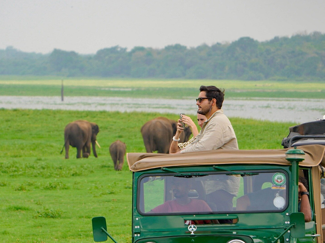 Sri Lanka Jeep Safari-锡吉里亚必去景点