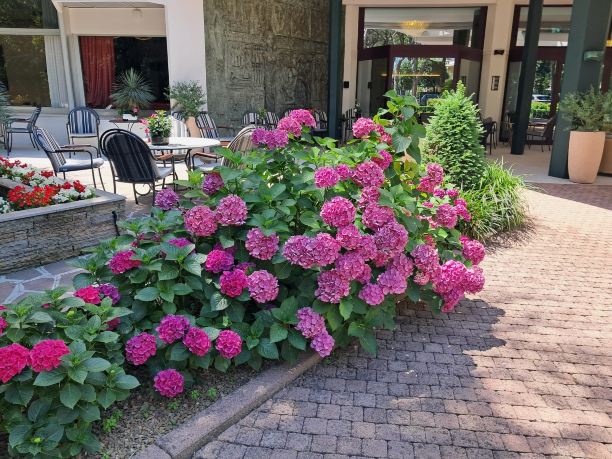 泰尔梅花园酒店-旅行者