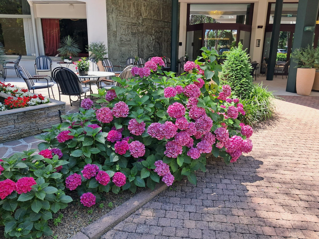 泰尔梅花园酒店主图